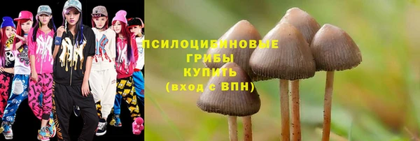 а пвп мука Алзамай
