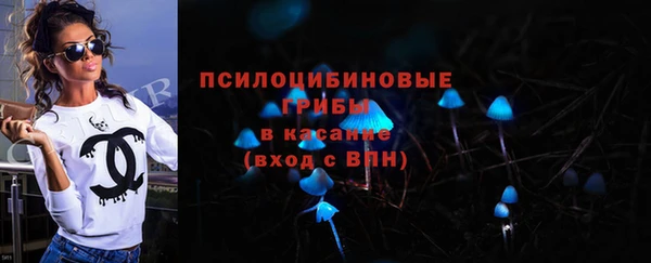 герыч Алексин