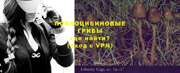Альфа ПВП Алексеевка