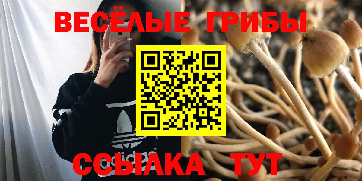 Псилоцибиновые грибы прущие грибы Самара