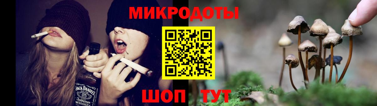 Самара  Галлюциногенные грибы прущие грибы  Вход с VPN  Псилоцибиновые грибы Psilocybe 